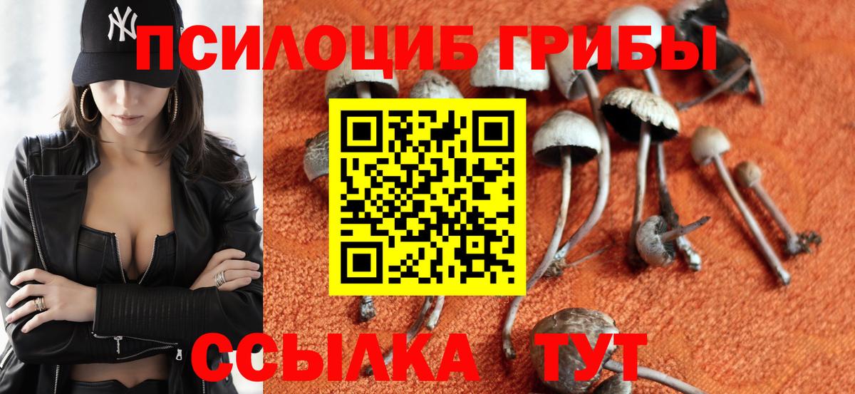 Псилоцибиновые грибы мицелий Кушва